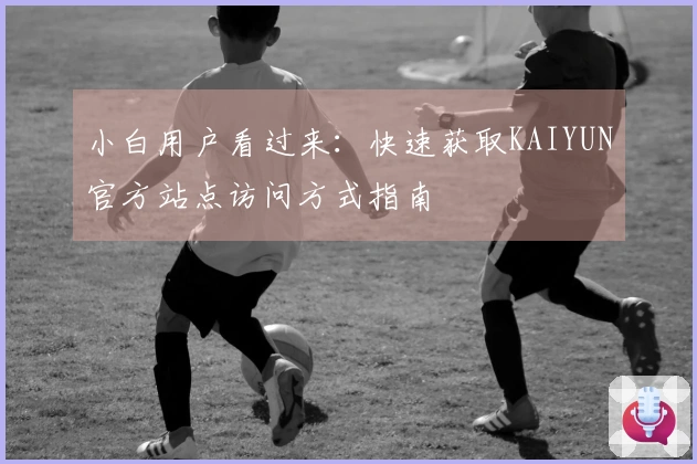 小白用户看过来:快速获取KAIYUN官方站点访问方式指南