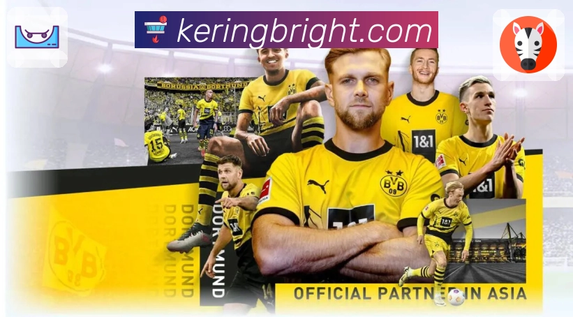 内容更新与安全认证展示